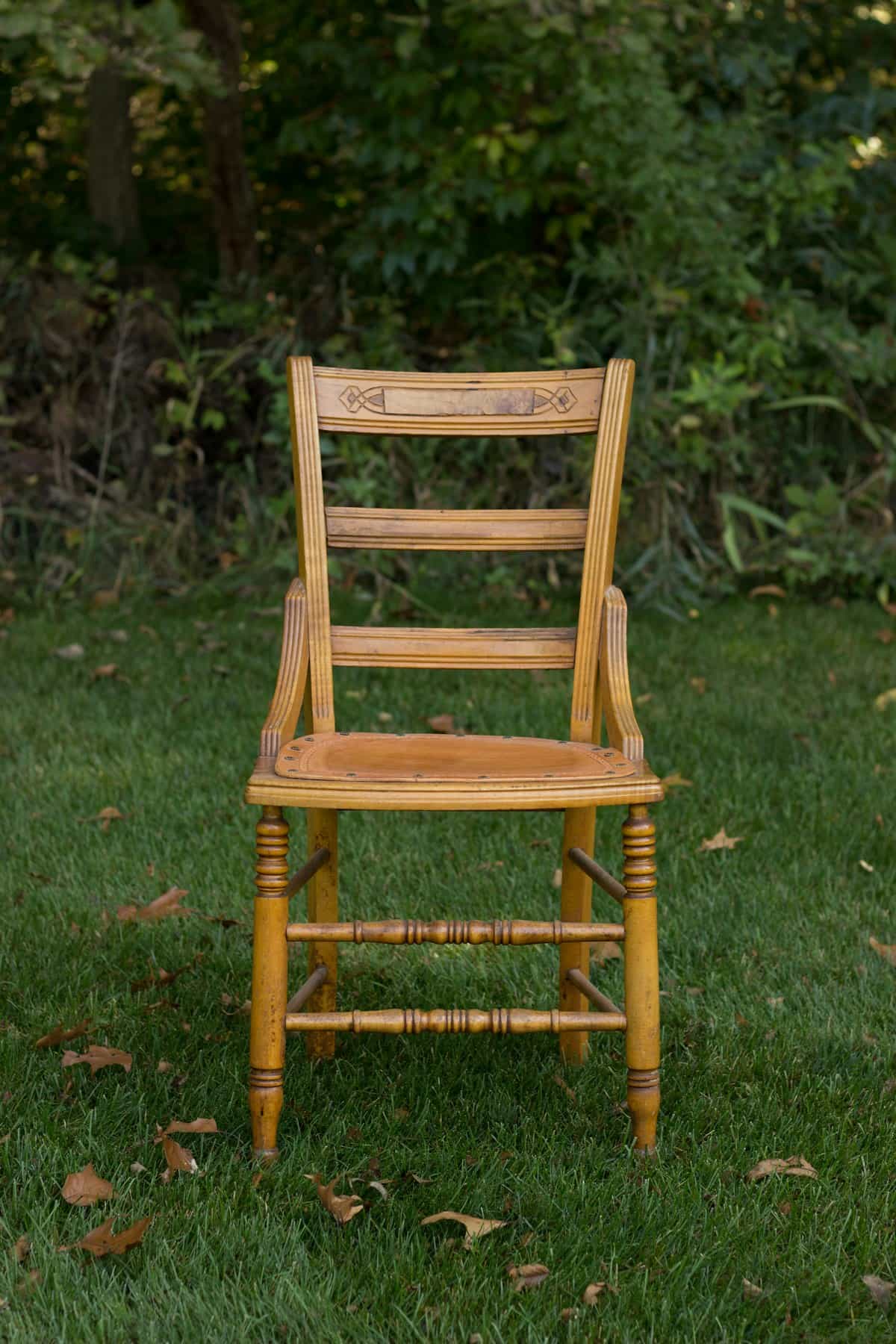Nile Dining Chair